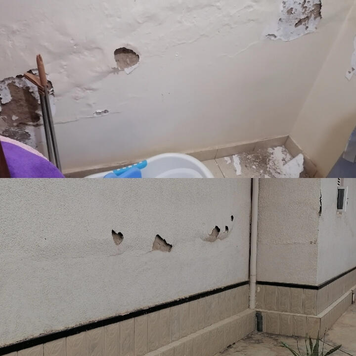 this is the true example of a failed plumbing installation. behind this wall was a bathtub that had a leaking pipe which caused