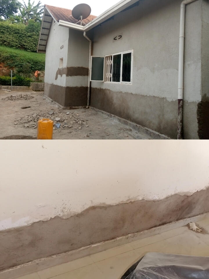 this is the true example of a failed plumbing installation. behind this wall was a bathtub that had a leaking pipe which caused